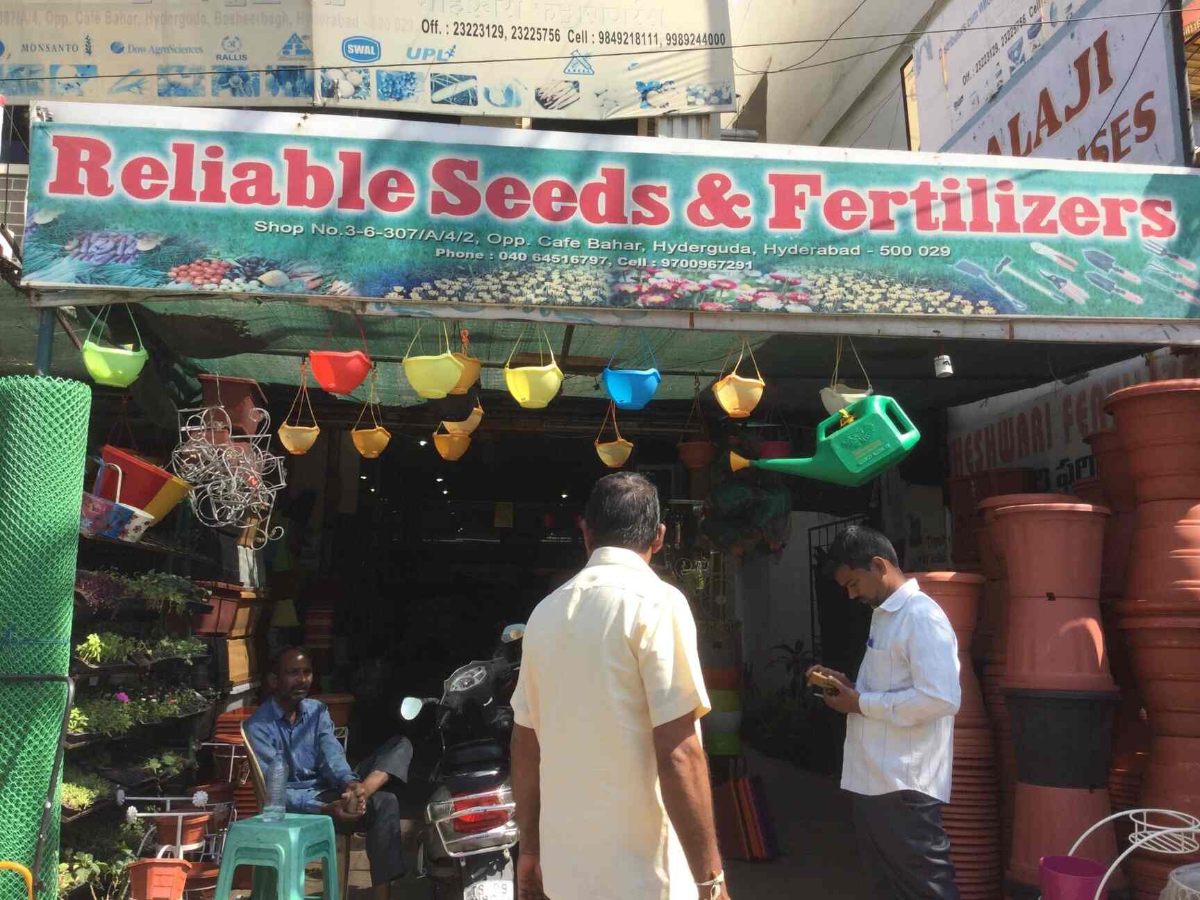Flower Seeds Suppliers In Hyderabad Best Flower Site