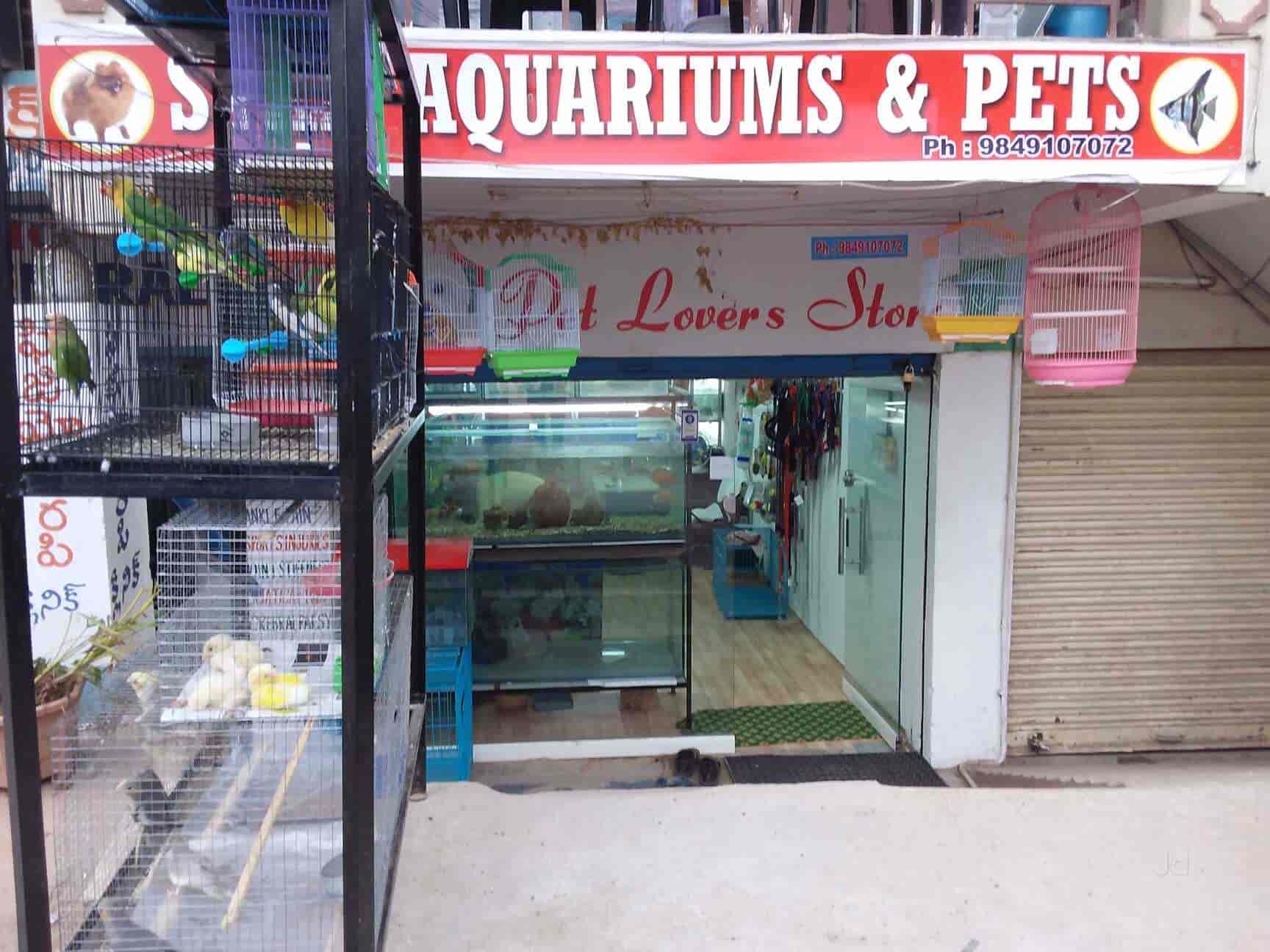 Star Aquariums & Pets, Mansoorabad Pet Shops in Hyderabad Justdial