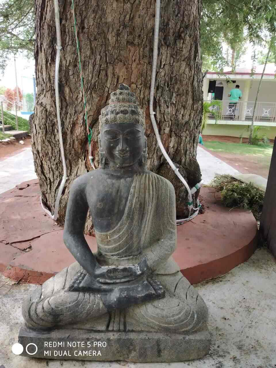 Tamarind Trees Farm House (A Boutique Resort), Moinabad Farm House On