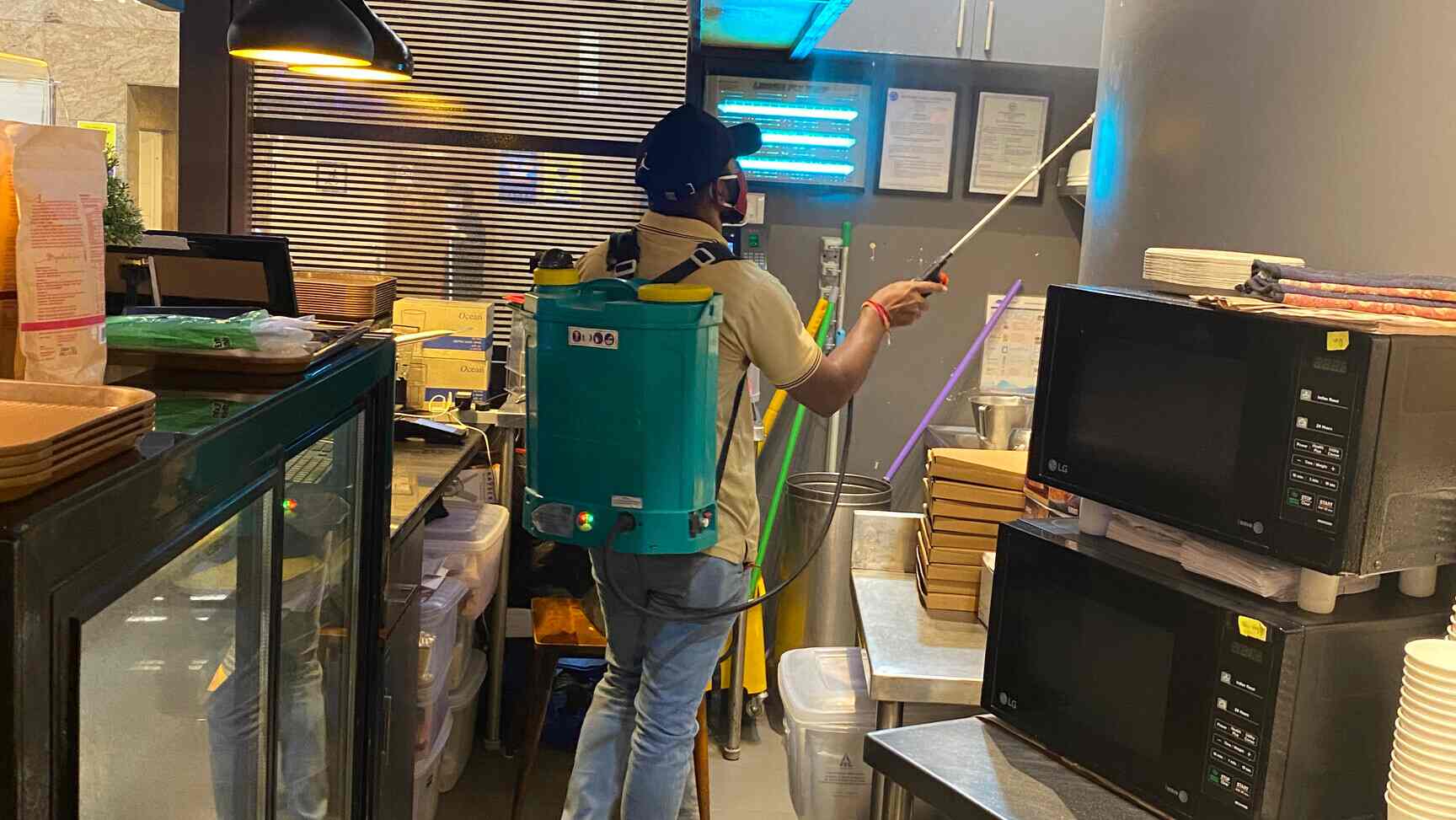 Sps Pest Control Services in Manikonda,Hyderabad Best Pest Control