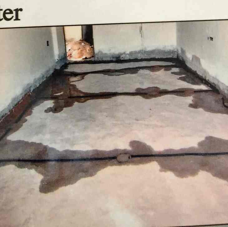 Sps Pest Control Services in Manikonda,Hyderabad Best Pest Control