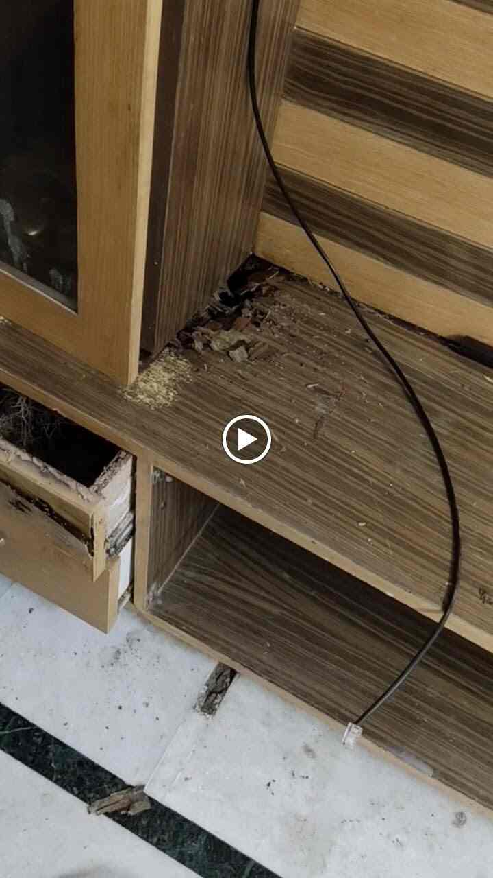 Sps Pest Control Services in Manikonda,Hyderabad Best Pest Control