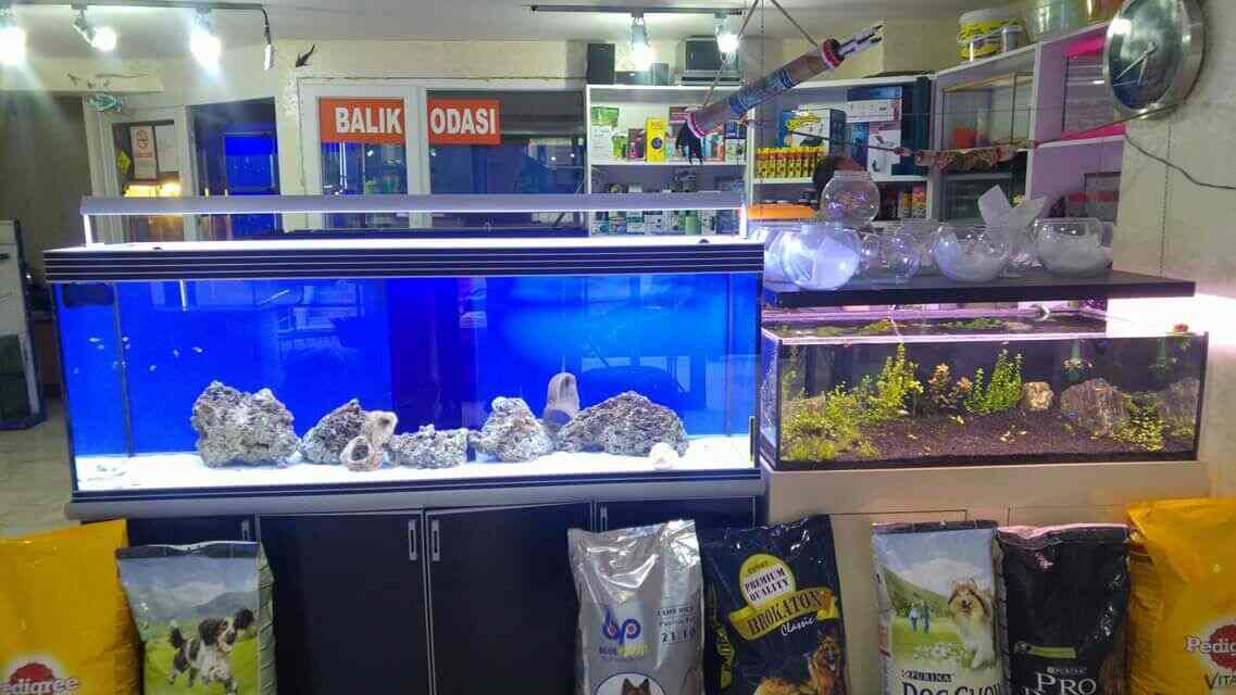 Sai Krishna Pets And More in Kukatpally,Hyderabad Best Pet Shops in