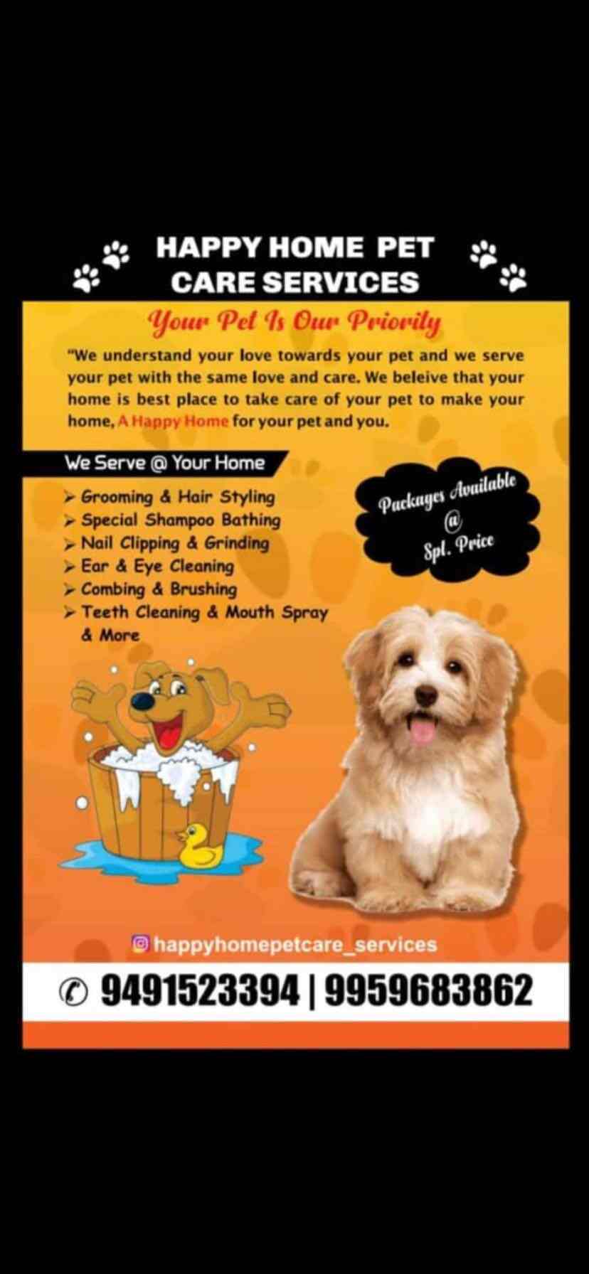 Happy Home Pet Care Services in Kuntloor,Hyderabad Best Pet Care