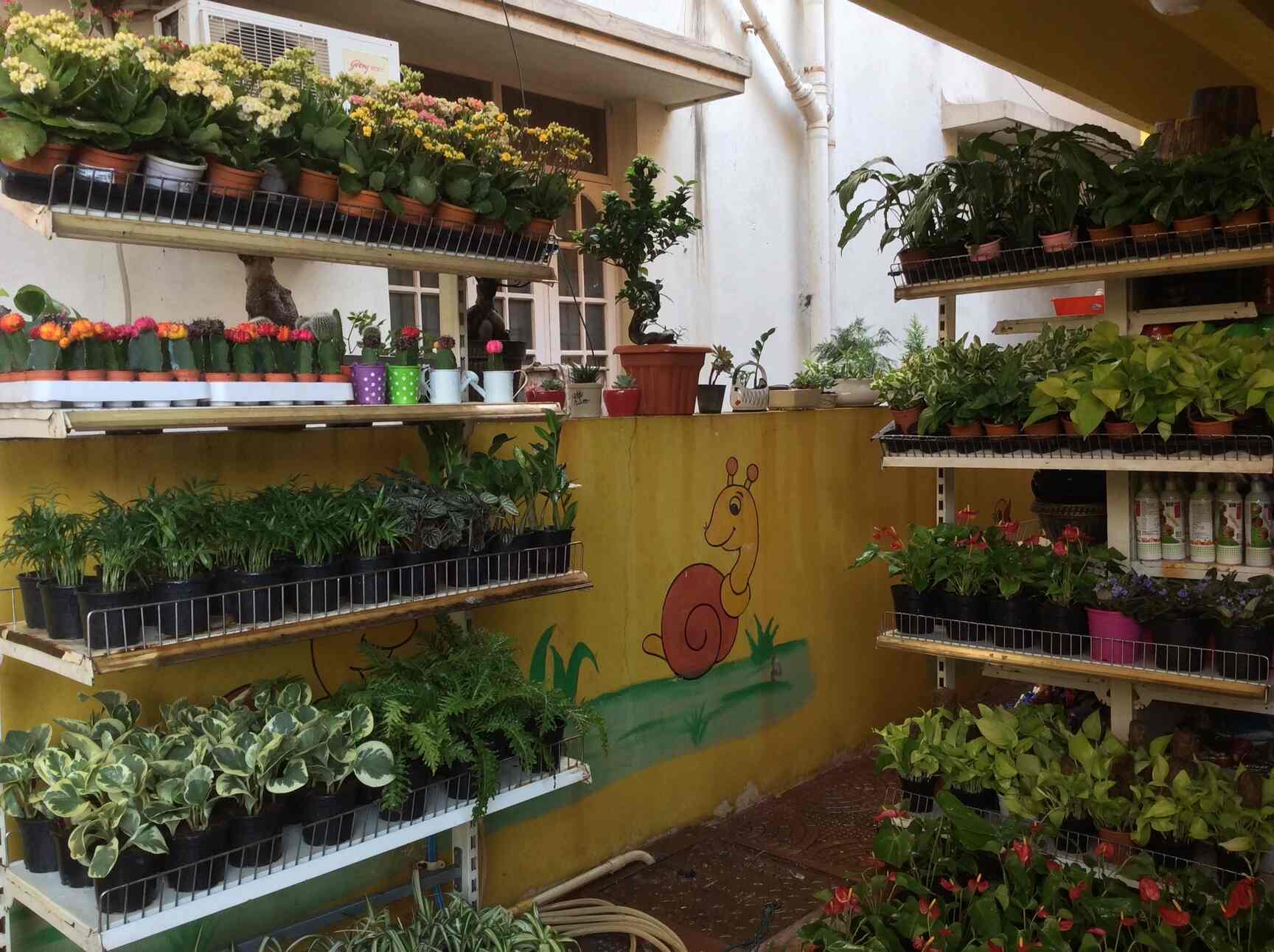 Myro Farms in Mahendra Hills,Hyderabad Best Fruit Plant Nurseries in