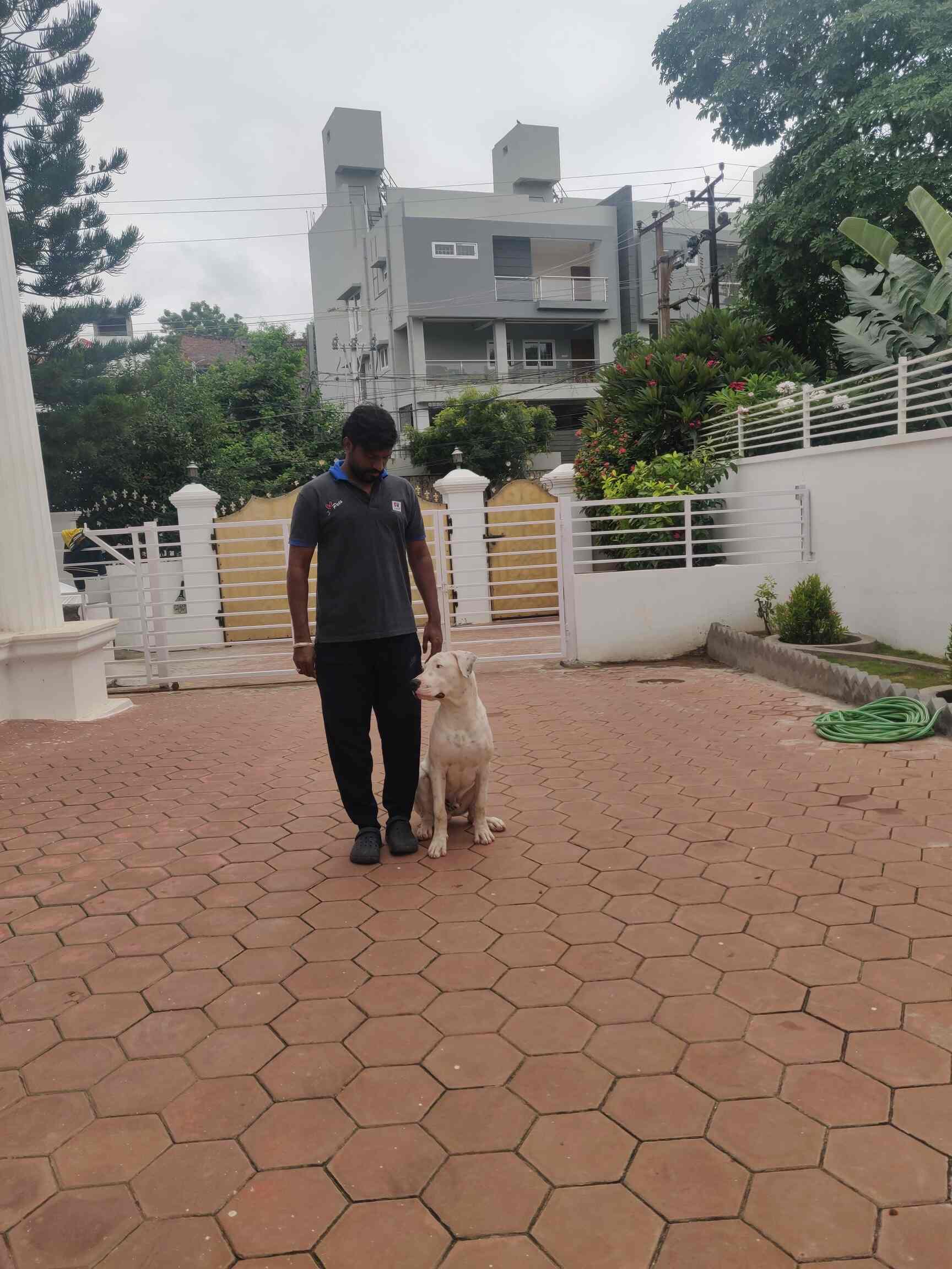 Top Pet Shops in Hyderabad Best Pet Store near me Justdial