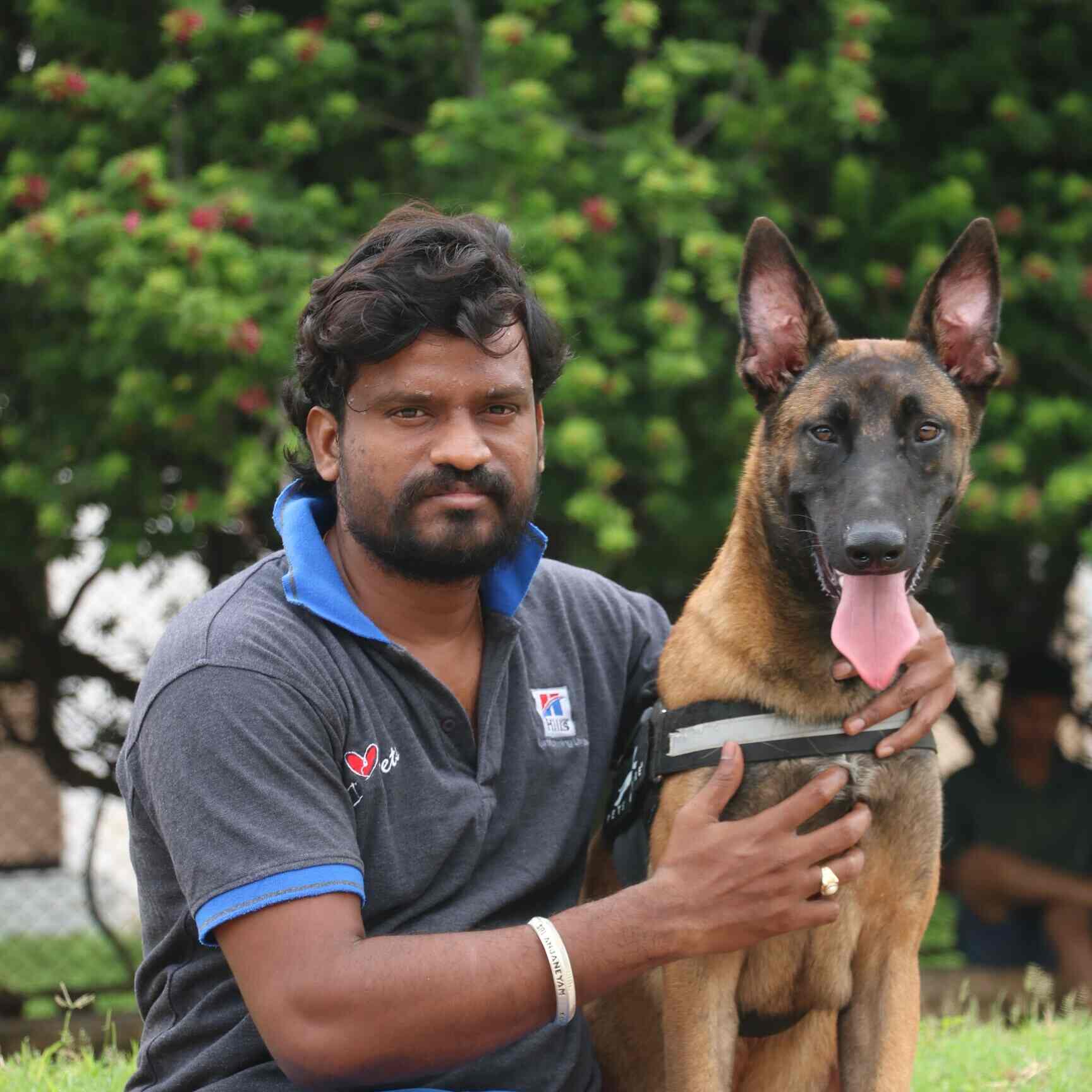 Top Pet Shops in Hyderabad Best Pet Store near me Justdial