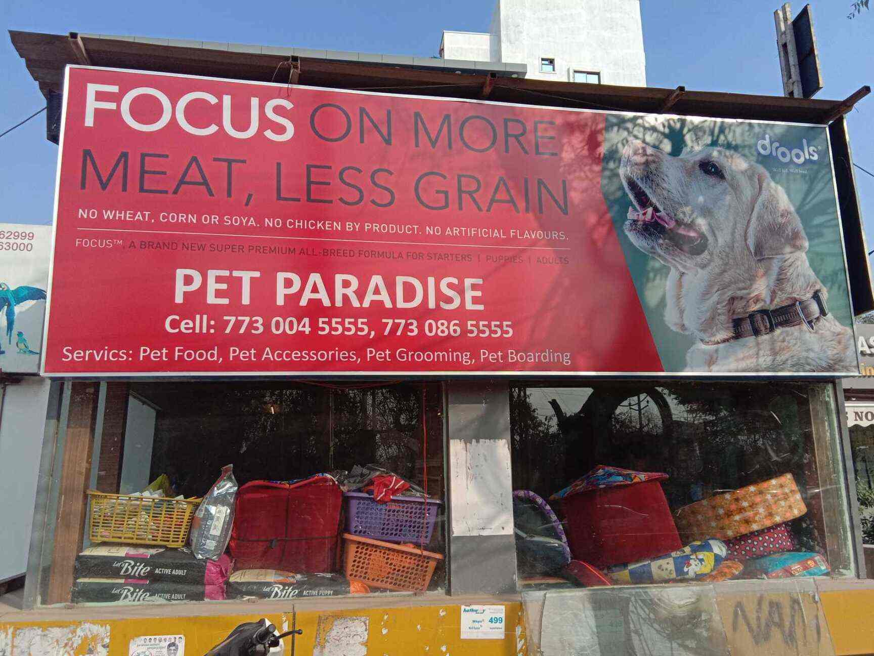 Pet Paradise in Kondapur,Hyderabad Best Aquarium Fish Dealers in