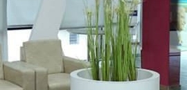 Top 100 Interior Designer For Apartments In Kukatpally Best Home