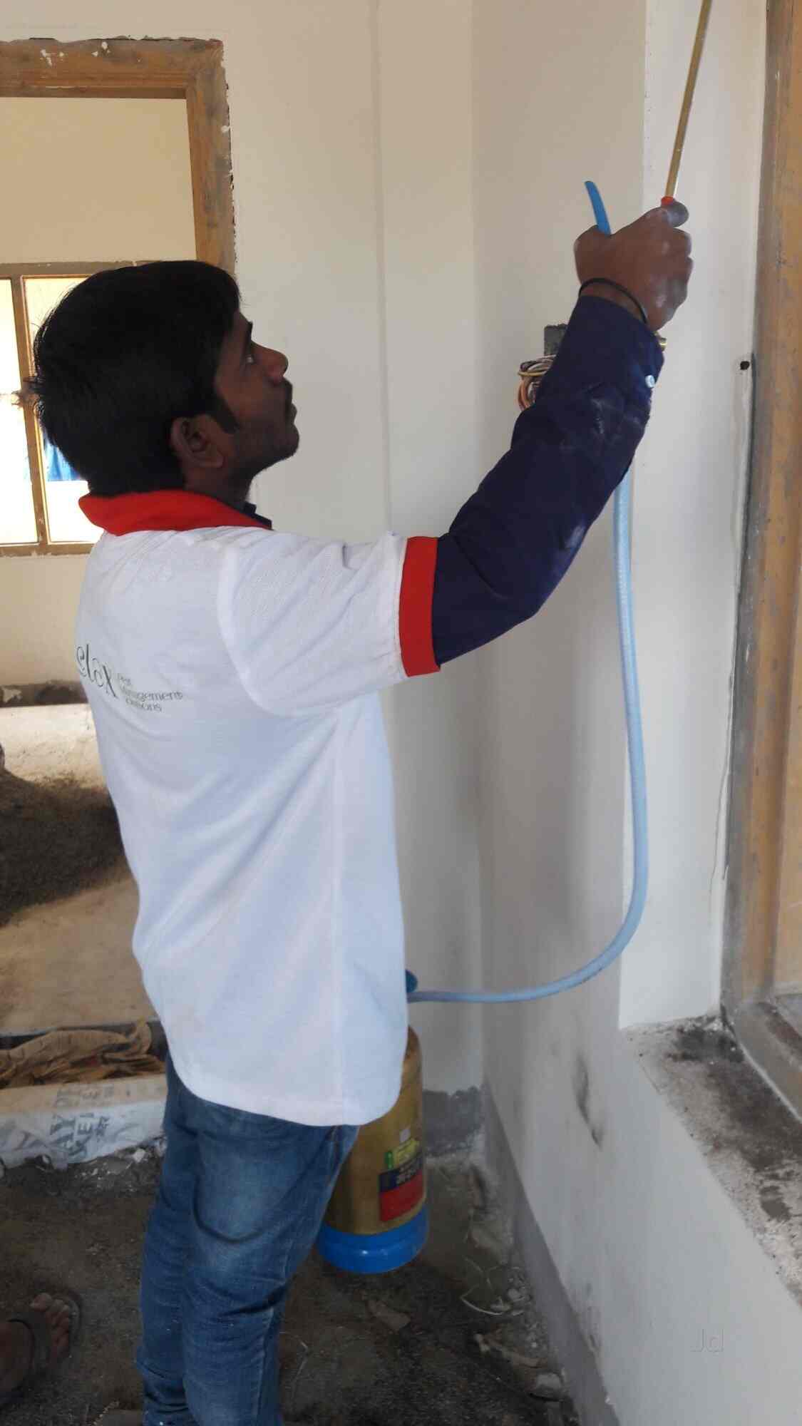 Relax Pest Management Solutions in Ramanthapur,Hyderabad Best Residential Pest Control