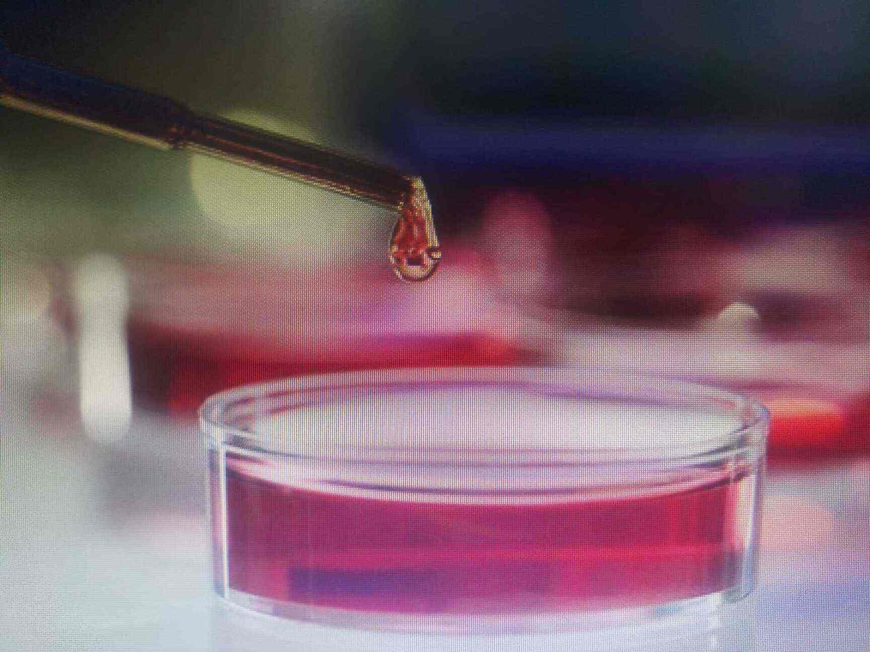 Top Laboratory Testing Services For Water in Panjeshah Best Water