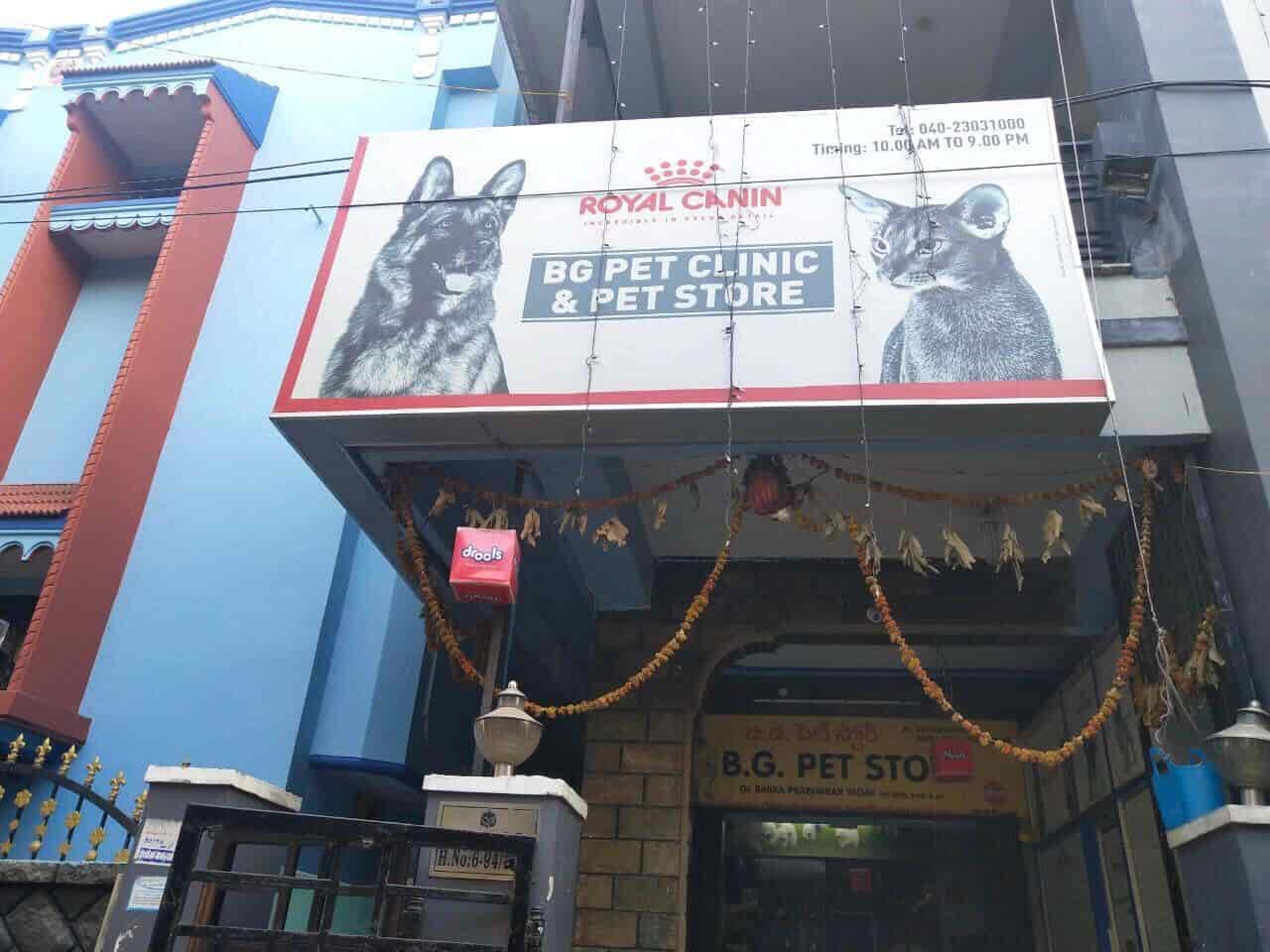 BG Pet Clinic & Pet Store, Chanda Nagar Pet Shops in Hyderabad Justdial