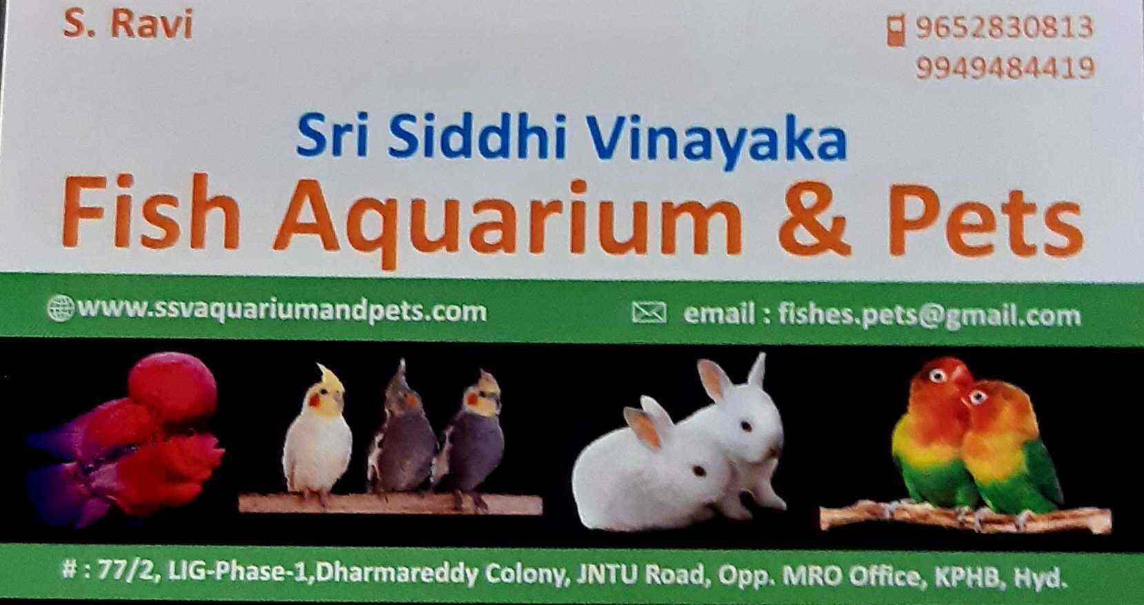 Sri Siddi Vinayaka Fish Aquarium & Pets, Kphb Colony Pet Shops in