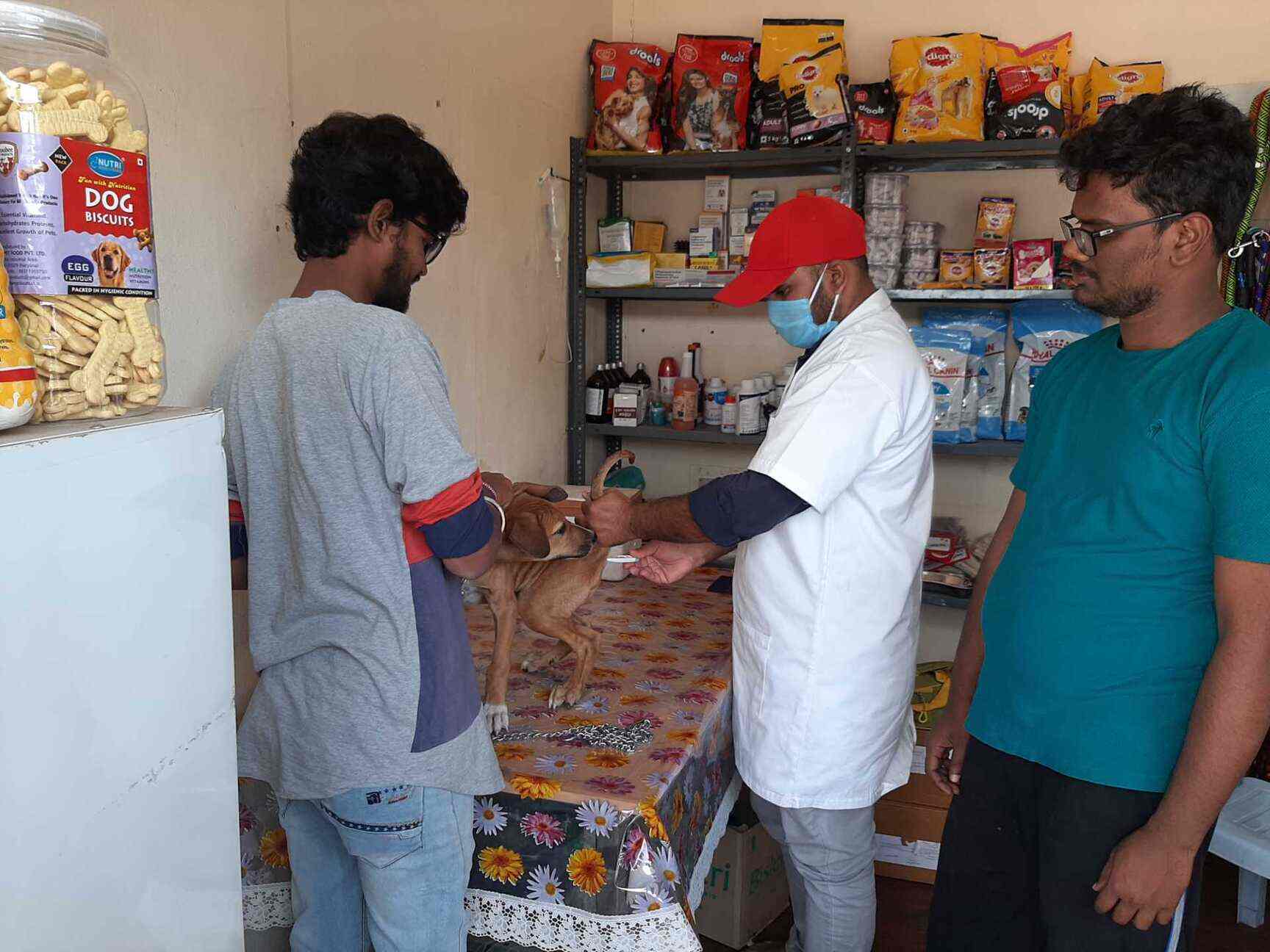 Srinivasa Vet and Pet Clinic and Medical Shop in Hayath Nagar,Hyderabad Best Veterinary