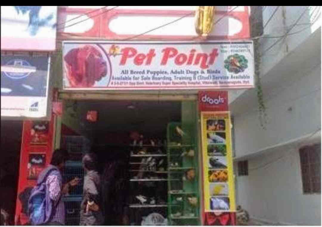 Top Pet Shops in Hyderabad Best Pet Store near me Justdial