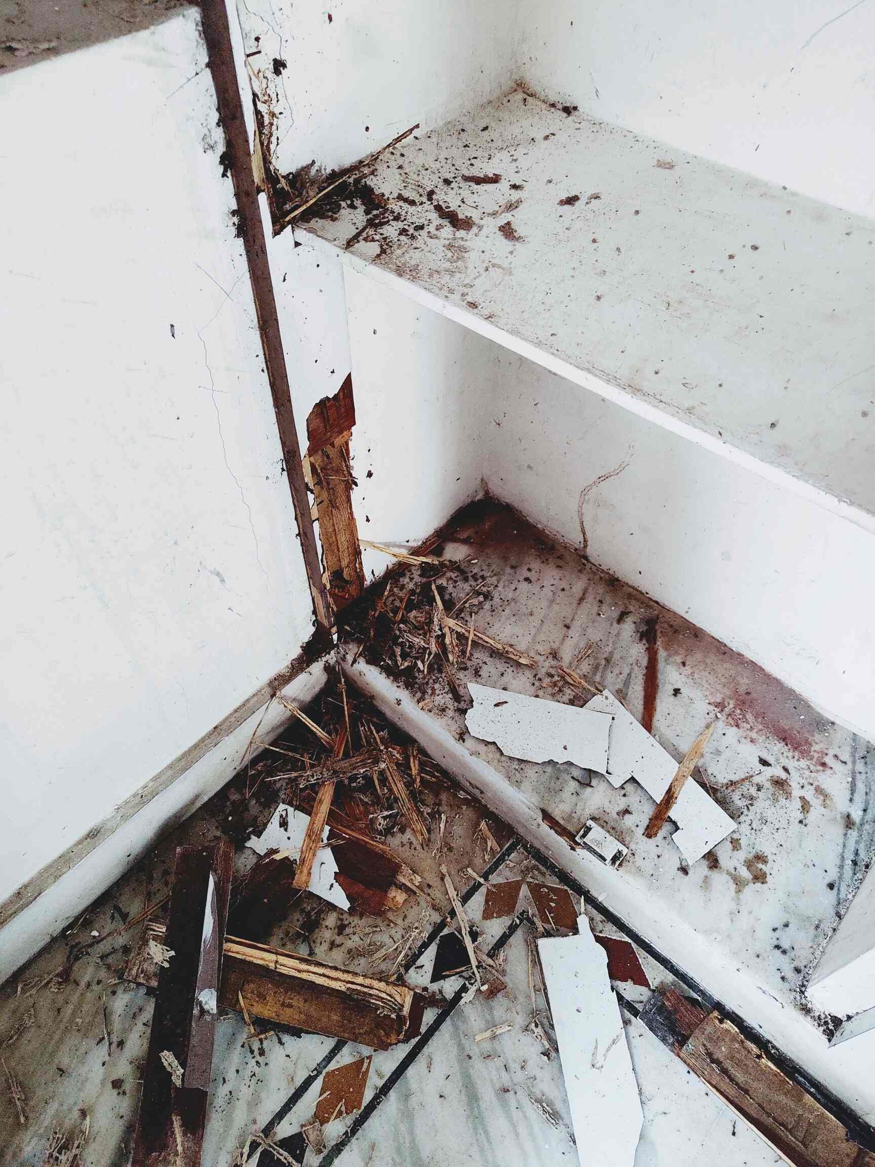 Pest Control House in Alwal,Hyderabad Best Pest Control Services For