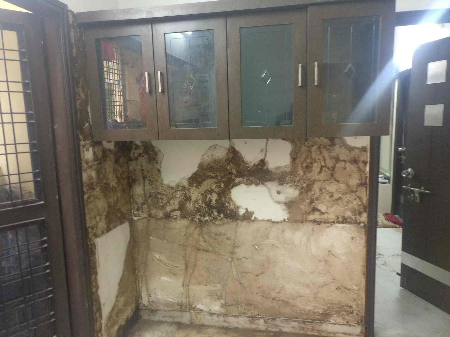 Pest Control House in Alwal,Hyderabad Best Pest Control Services For