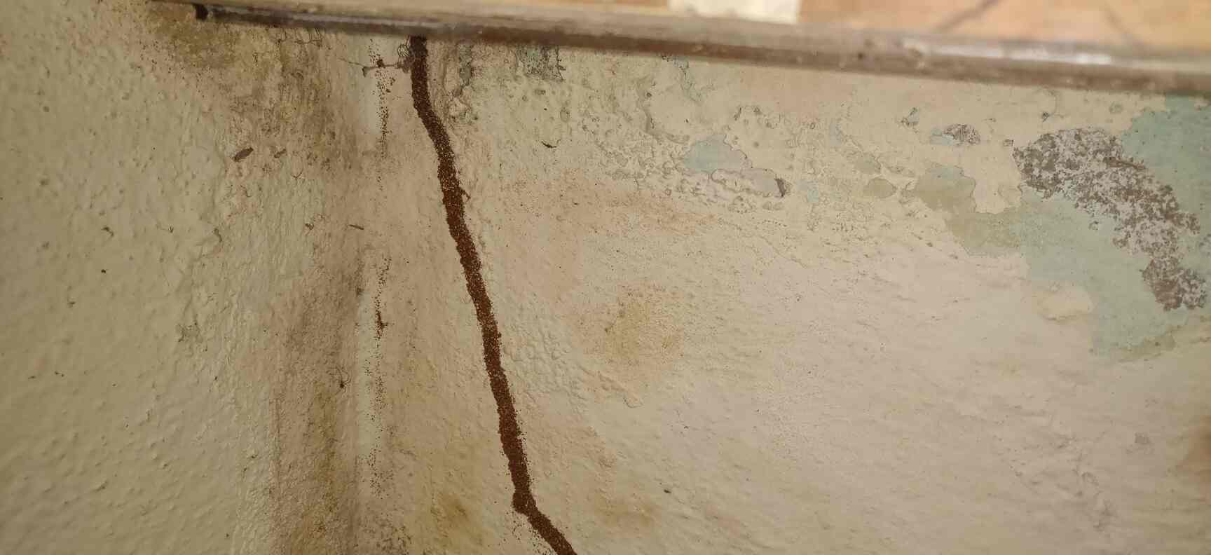 Pest Control House in Alwal,Hyderabad Best Pest Control Services For