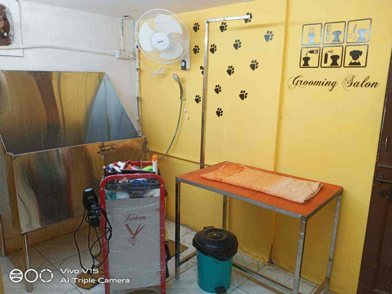 R Pets Zone in Marredpally,Hyderabad Best Pet Shops in Hyderabad