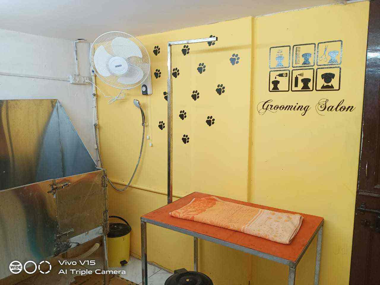 R Pets Zone in Marredpally,Hyderabad Best Pet Shops in Hyderabad