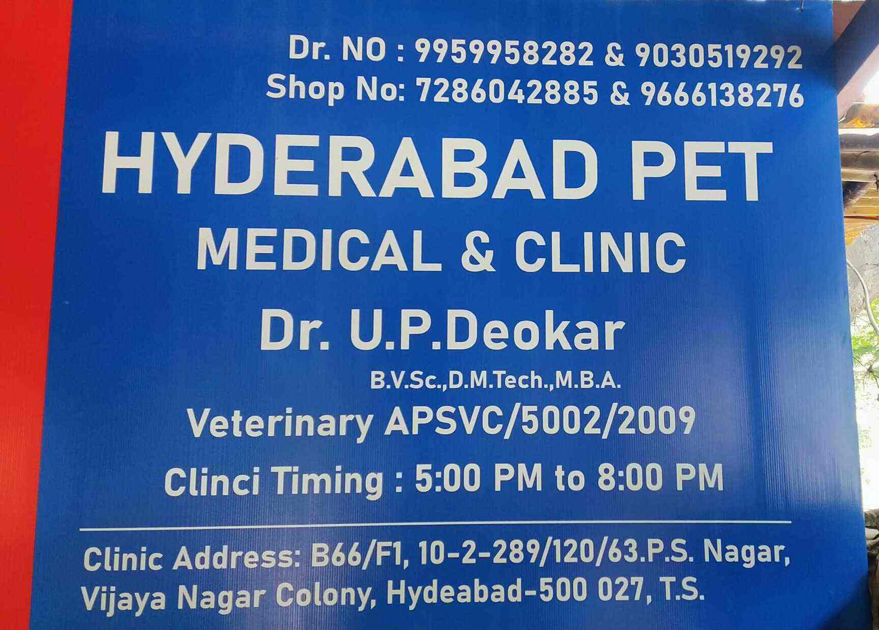 Top Dog Food Retailers in Khairatabad Best Dog Food Shops Hyderabad