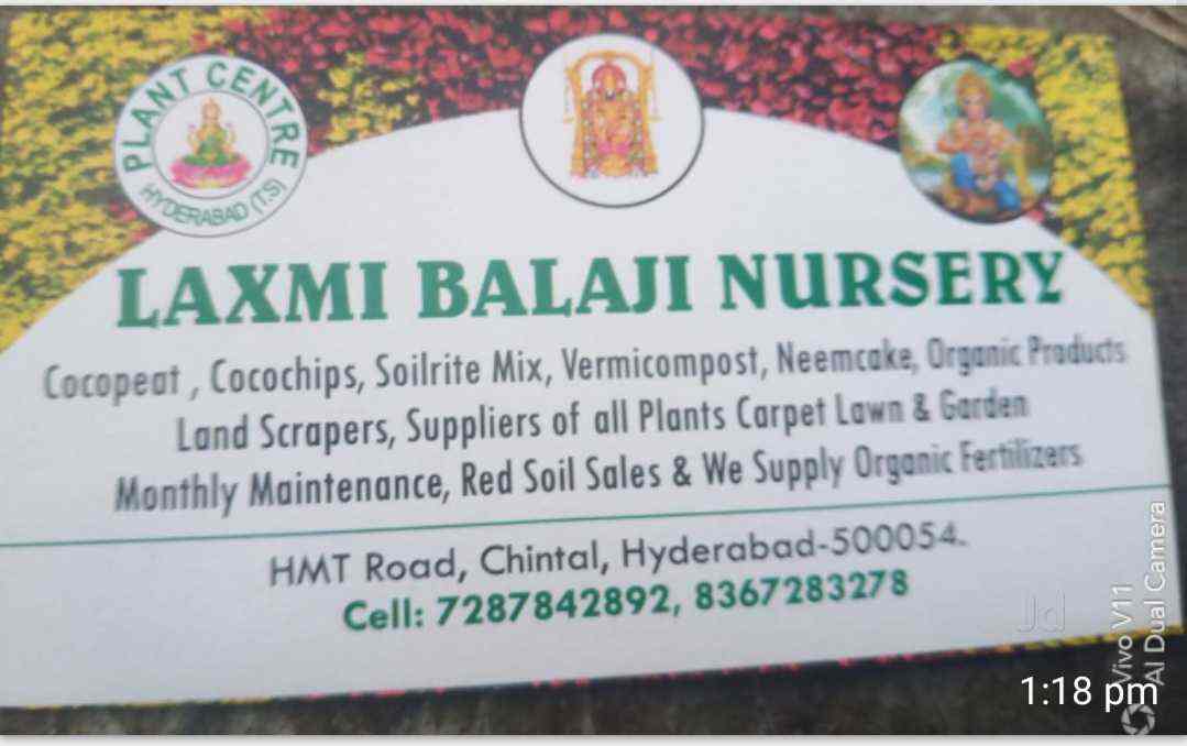 Top 30 Plant Nurseries in Chintal Best Nursery Plant Suppliers