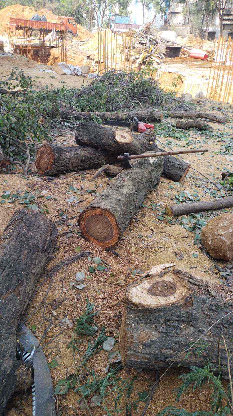 Top Tree Cutting Services in Hyderabad ट्री कटाई सर्विसेज, हैदराबाद