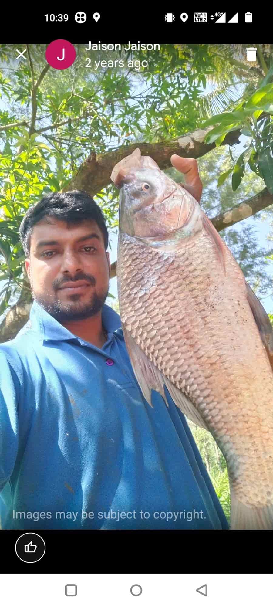 Top Fish Farming in Munnar फिश फार्मिंग, मुन्नार near me Justdial