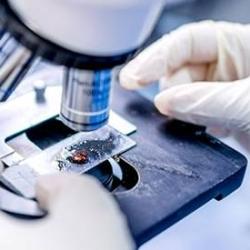 Lab Detail Image