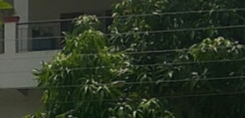 Bhoraskar Hospital