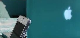 Apple INDIA Pvt Ltd (Custom..