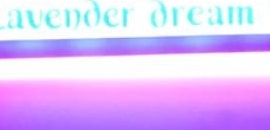 Lavender Dreams Saloon Ands..