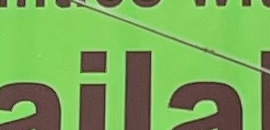 Green Hostel