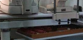 Indore India Eye Care