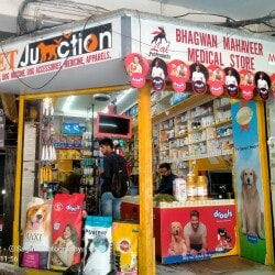 Dog store near my deals location