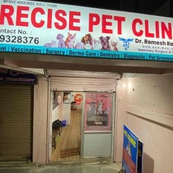 Hamster clinic near me sales