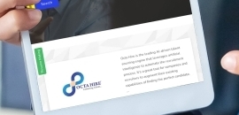 Octa Hire BEST Job Consulta..