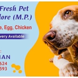 Pet food 2024 home delivery service