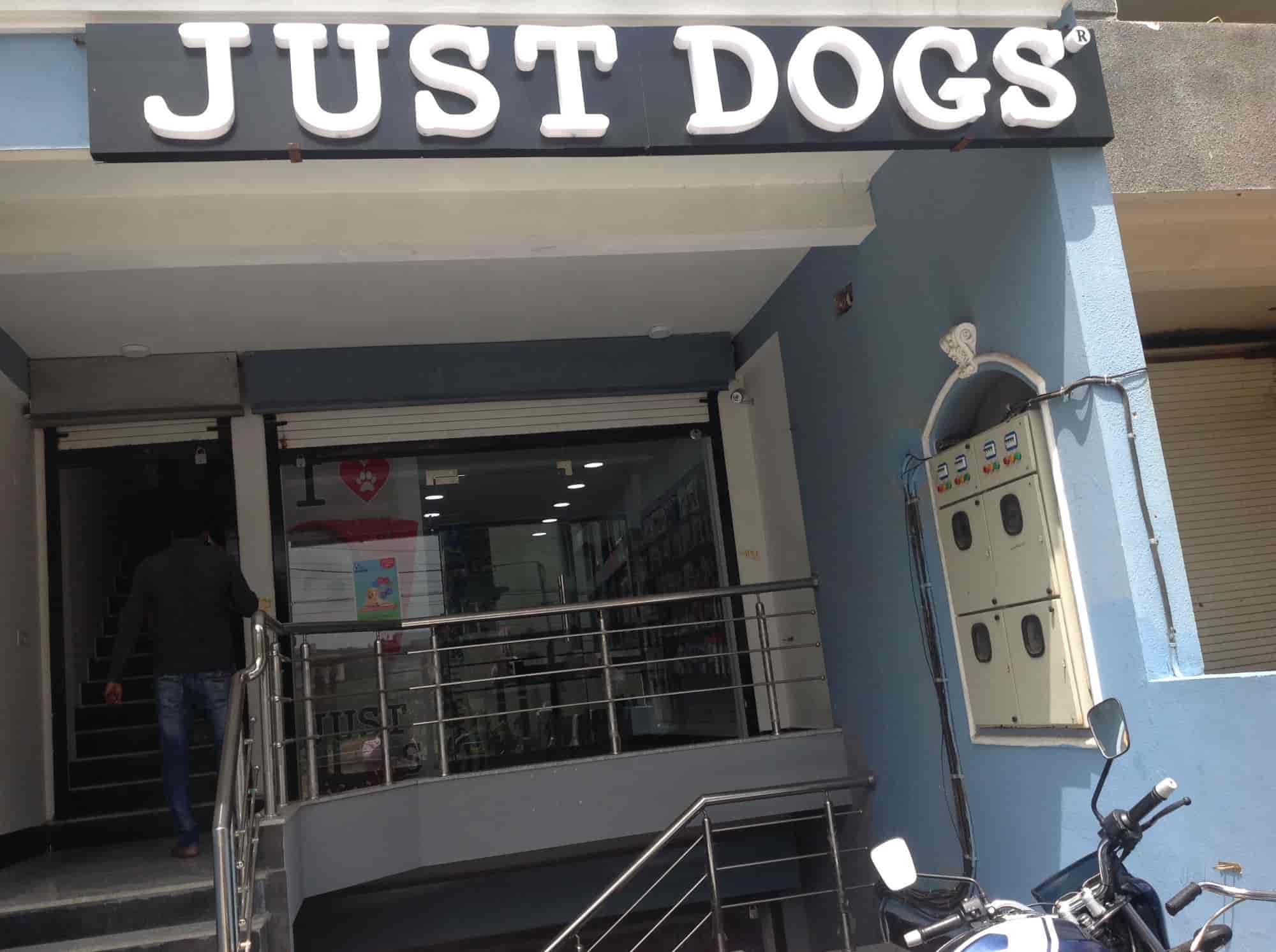 Just dog shop top