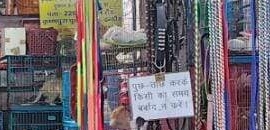 Bomb Sniffer Nachan Dog Tra..