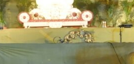 Hanumant Tent House