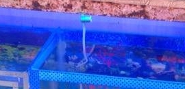Jetun Aquarium