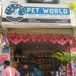 Pet World in Vijay Nagar Indore Best Pet Shops in Indore Justdial