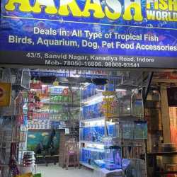 Tropical pet store near me top
