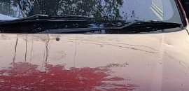 Ashu Car Driving School