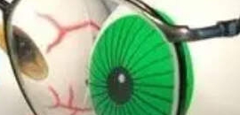 Dr Mahavir Dattani (Asg Eye..
