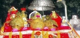 Shree Gayatri Jyotish Karya..