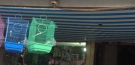 Aarjavs Pet Zone
