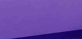 Lavender Dreams Saloon and ..