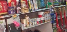 Raghuvanshi Pet Shop